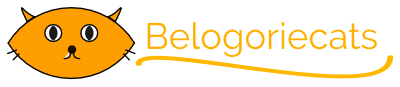 Belogoriecats.com