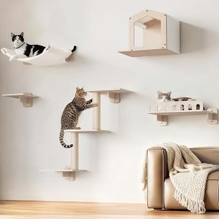 Three cats using wall-mounted shelves, cubbies, and perches